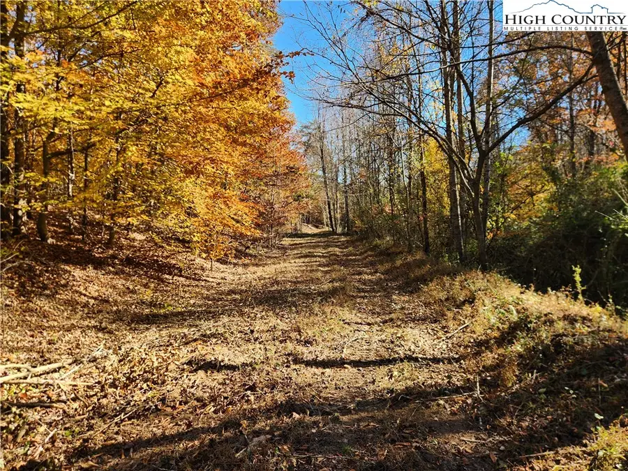 701 Moravian Falls Road, Wilkesboro, NC 28697 - #3