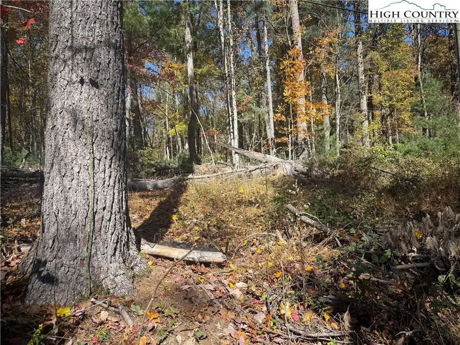 TBD Oak Tree Lane, Obids, NC 27640 - Image #2