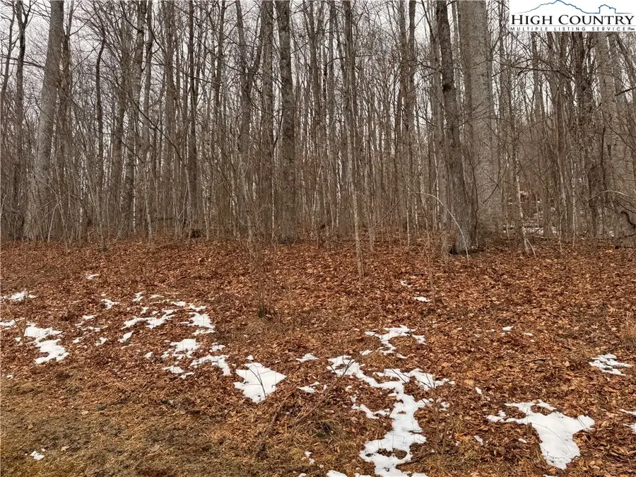 Lot 28 Elk Creek Mountain Parkway, Todd, NC 28684 - #2