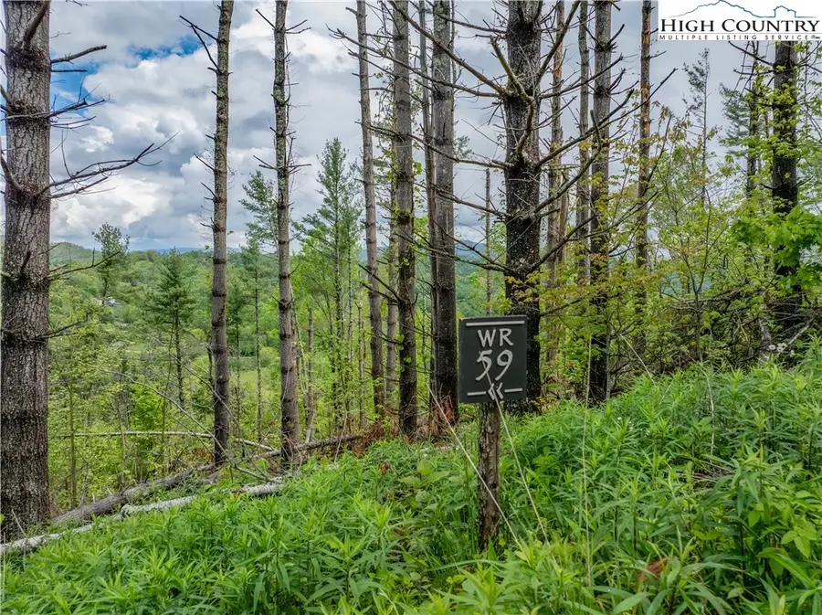 WR59 Clouds Rest Drive, Beech Mountain, NC 28604 - #2