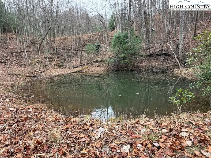 Lot 218 Casey Mountain Road, Purlear, NC 28665 - #2