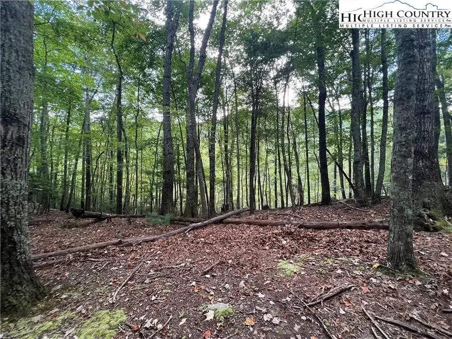 Lot 111 Laurel Circle West, Deep Gap, NC 28618 - Image #2