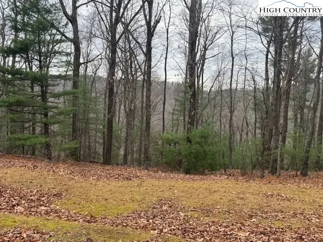 TBD Jobs Road, Union, NC 28651 - Image #1