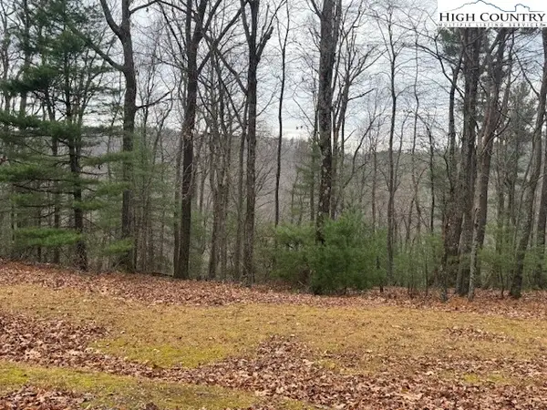 TBD Jobs Road, Laurel Springs, NC 28651