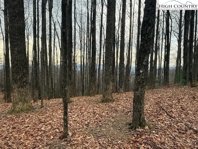 TBD Jobs Road, Laurel Springs, NC 28644 - Image #3