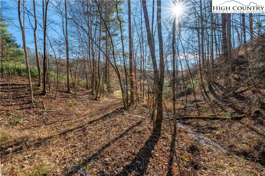 TBD Hubert Taylor Road, Mountain City, TN 37683 - #2