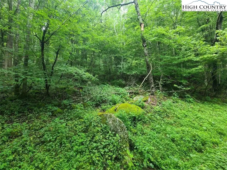 TBD Elk Horn Road, Sugar Mountain, NC 28604 - Image #2