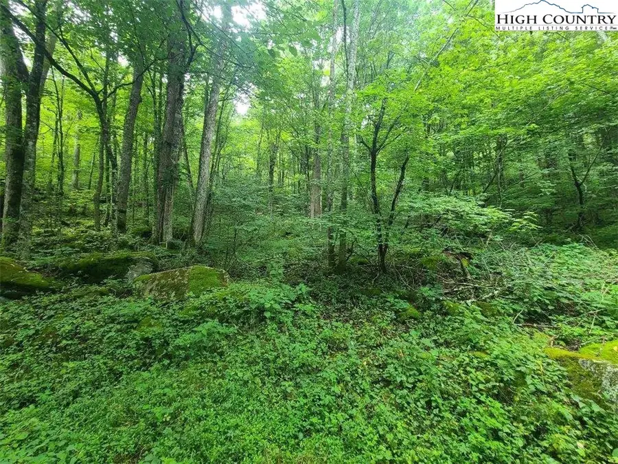 TBD Elk Horn Road, Sugar Mountain, NC 28604 - Image #3