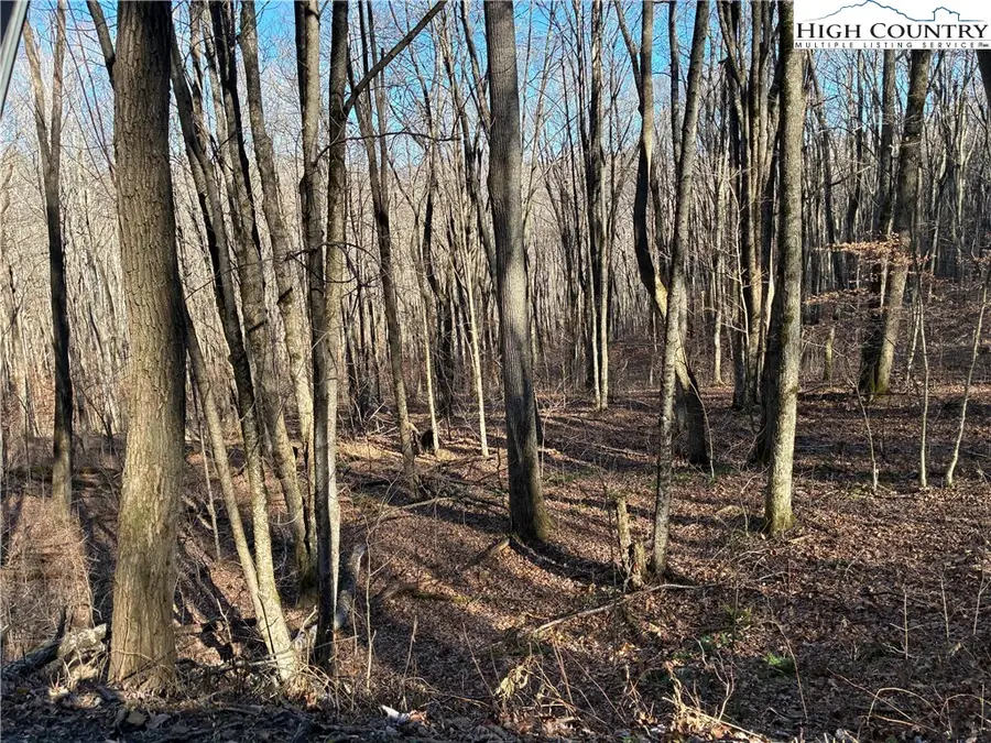 TBD Wolfsbane Trail, Todd, NC 28684 - #3