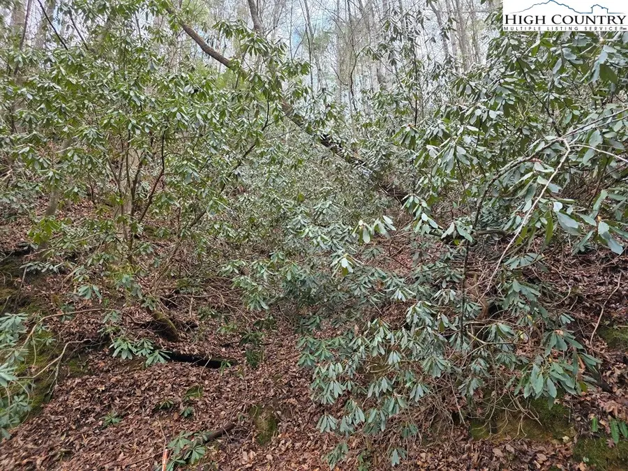 Lot 106 Holleridge Road, Ferguson, NC 28624 - Image #2