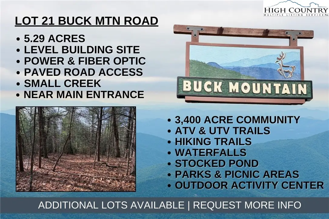 Lot 21 Buck Mountain Road, Purlear, NC 28665 - #1