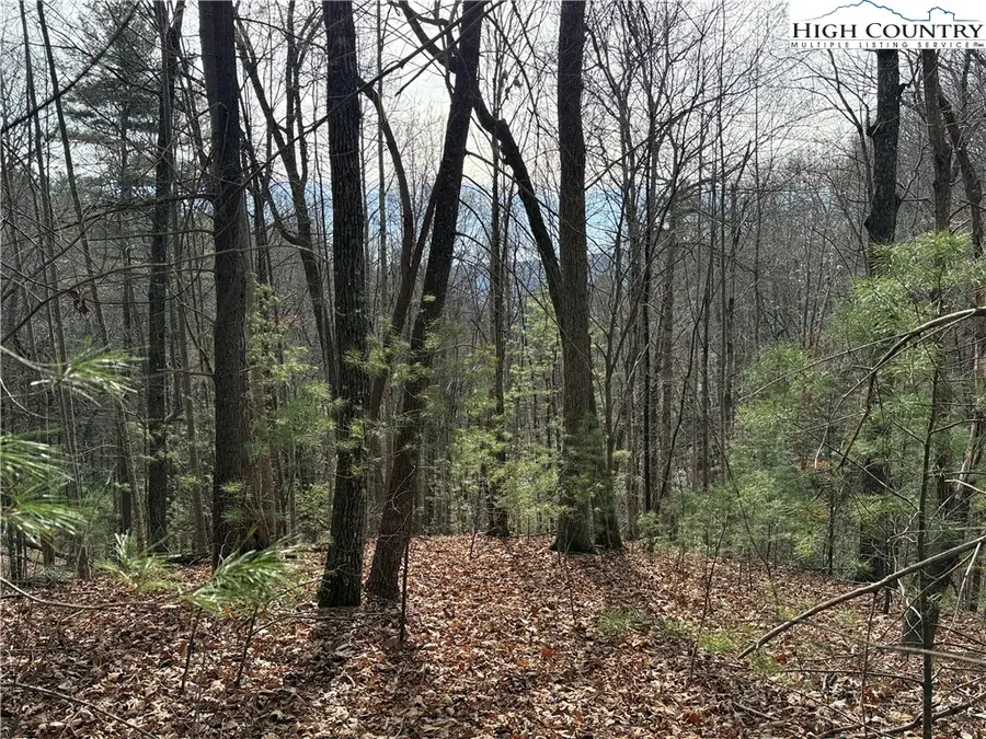 Lot 21 Buck Mountain Road, Purlear, NC 28665 - #2