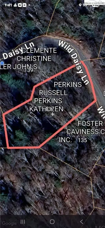 137 Wild Daisy Lane, Beech Mountain, NC 28604 - Image #2