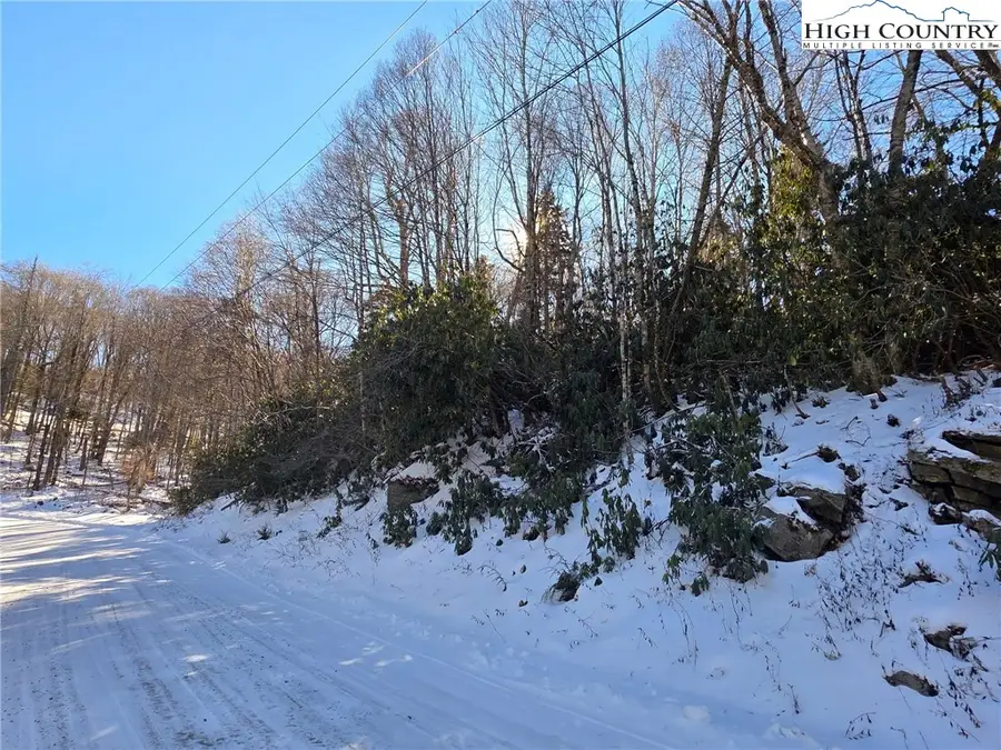 137 Wild Daisy Lane, Beech Mountain, NC 28604 - Image #3