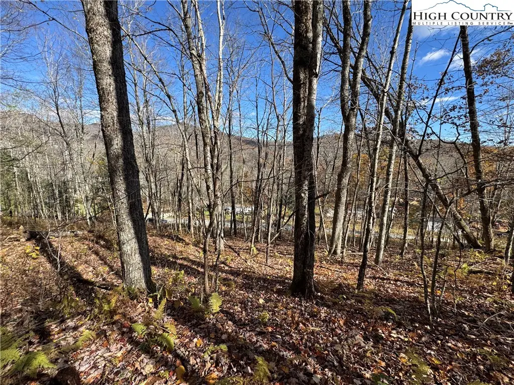 TBD Sugar Mountain #2 Road, Newland, NC 28657 - Image #1