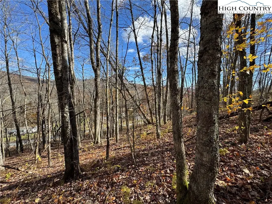 TBD Sugar Mountain #2 Road, Newland, NC 28657 - Image #2