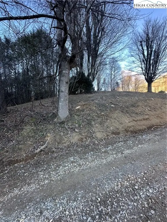 45 Windy Hollow Lane, Newland, NC 28657 - #3