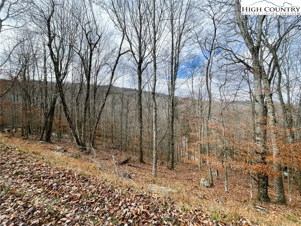 121 Shagbark Road, Beech Mountain, NC 28604 - Image #1