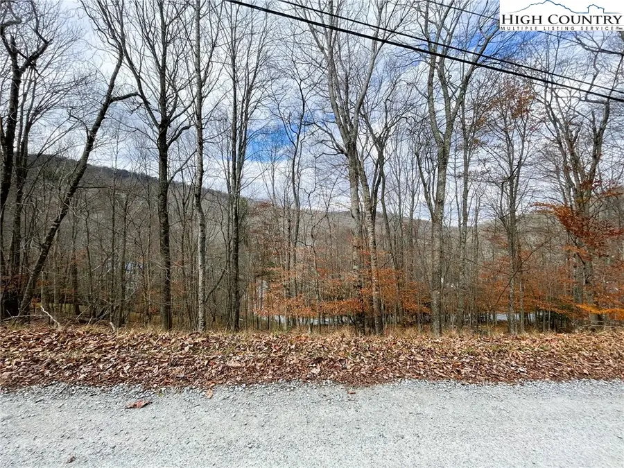 121 Shagbark Road, Beech Mountain, NC 28604 - Image #3
