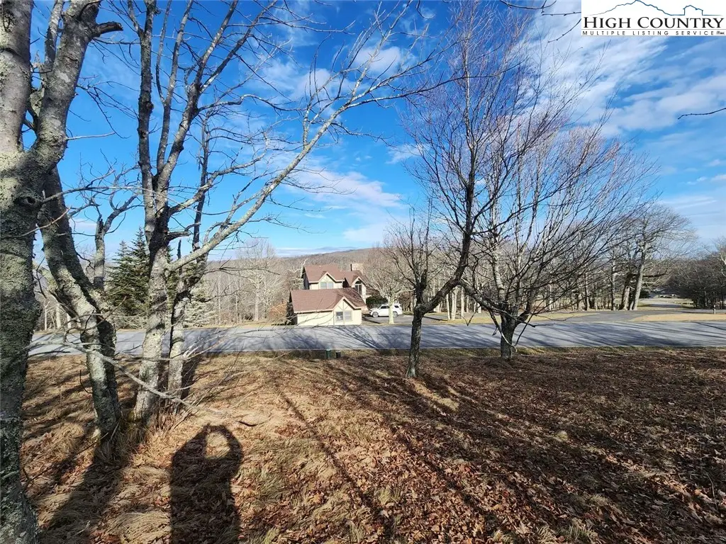 101 Larkspur Lane, Beech Mountain, NC 28604 - Image #1