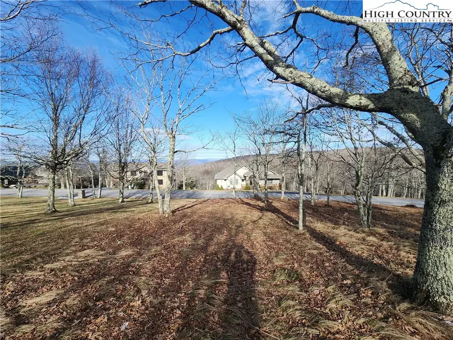 101 Larkspur Lane, Beech Mountain, NC 28604 - Image #3
