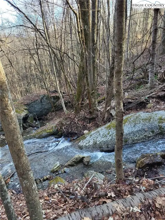 Tract 1-54.377 Ac Cone Orchard Lane, Blowing Rock, NC 28605 - Image #3