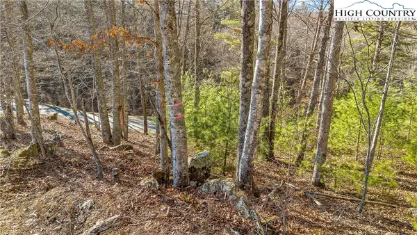 TBD River Stone Drive, Laurel Springs, NC 28644