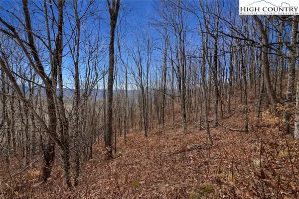 TBD Wakeman Way, Banner Elk, NC 28604