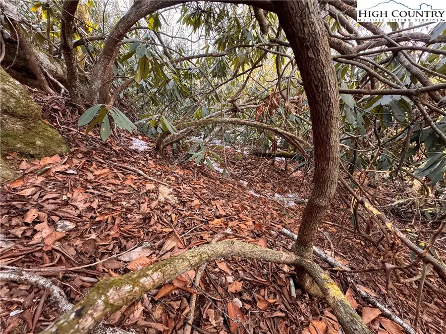 117 Wild Daisy Lane, Beech Mountain, NC 28604 - Image #2