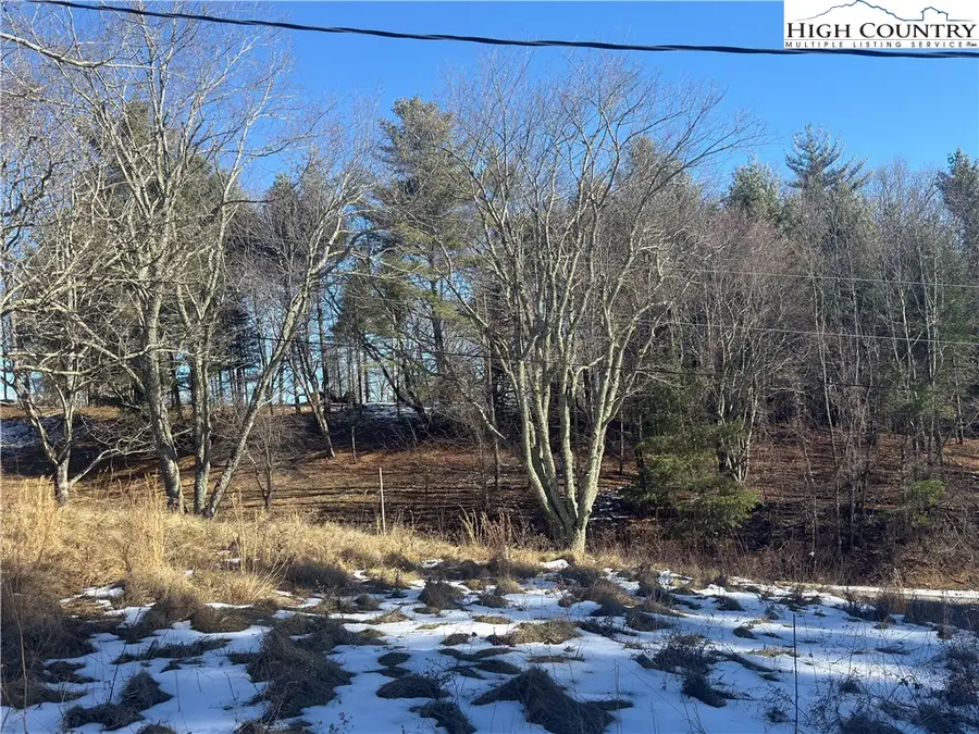 TBD Linhigh Drive, Newland, NC 28657 - Image #2