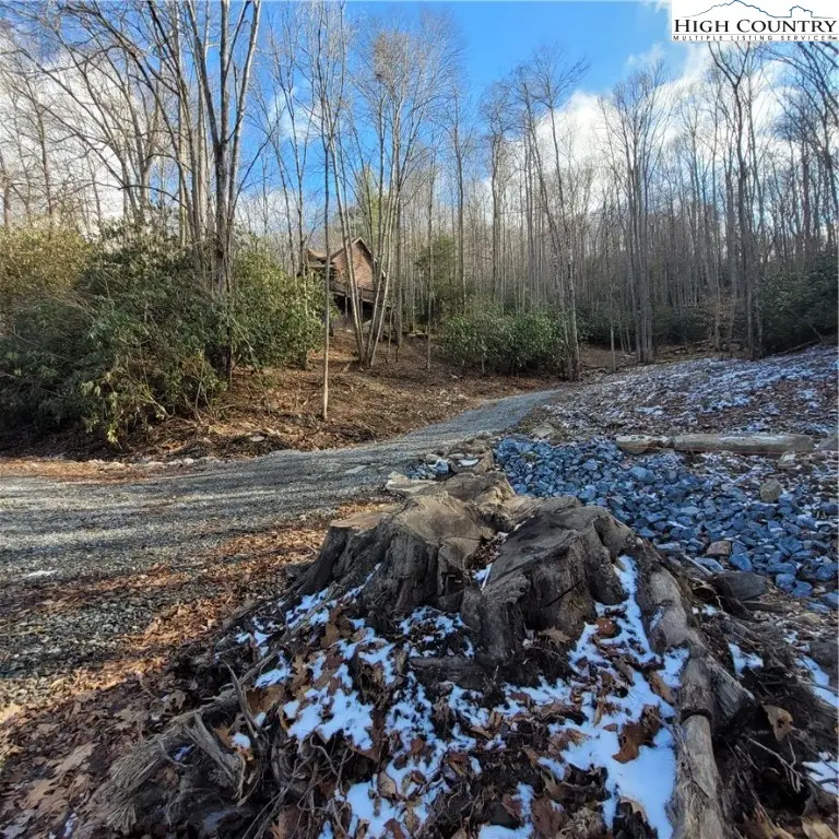 1463 Pine Ridge Road, Beech Mountain, NC 28604 - Image #1