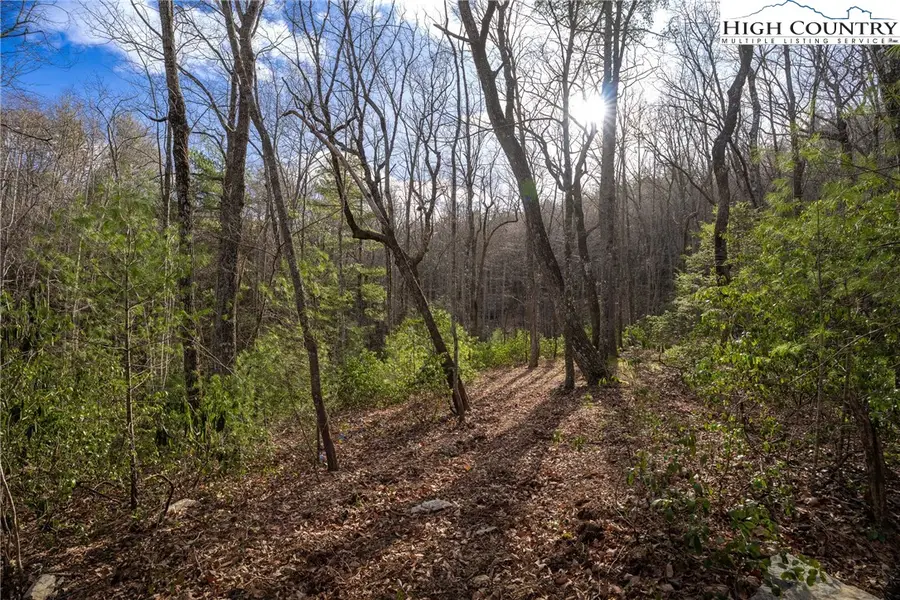 180 Marigold Road, Boone, NC 28607 - #2