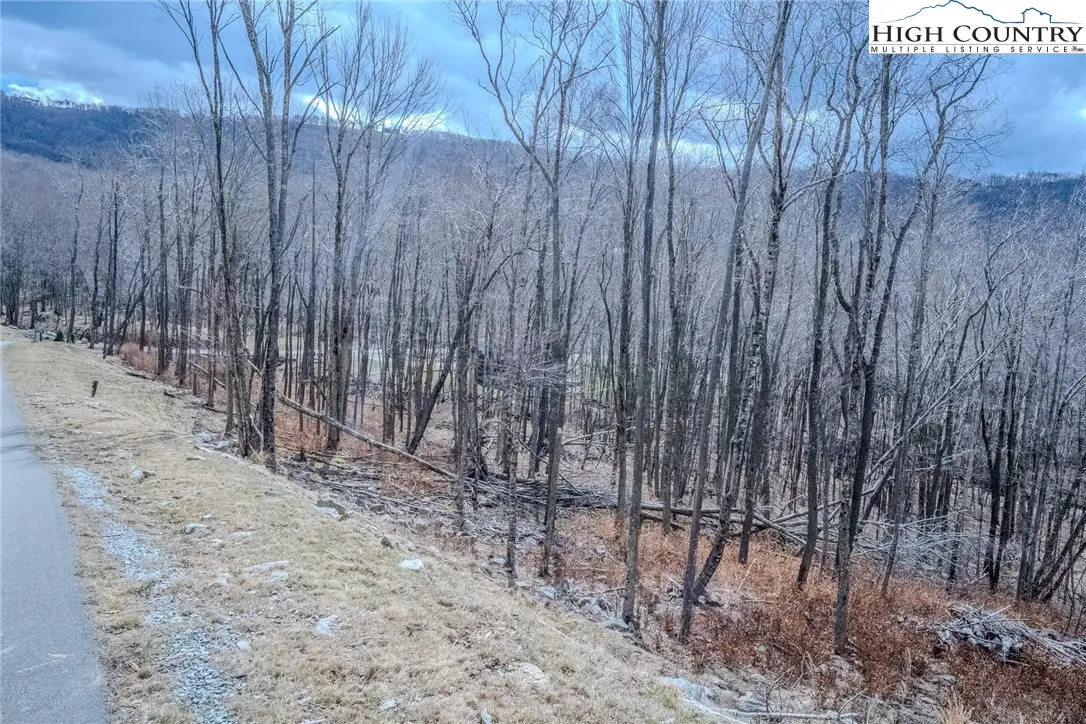 ES-68 Rippling Waters Trail, Banner Elk, NC 28604 - Image #1