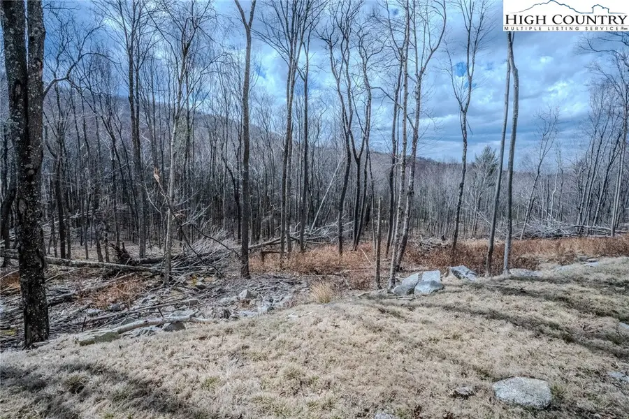 ES-68 Rippling Waters Trail, Banner Elk, NC 28604 - Image #2