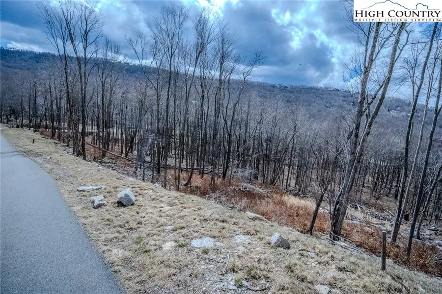ES-68 Rippling Waters Trail, Banner Elk, NC 28604 - Image #3