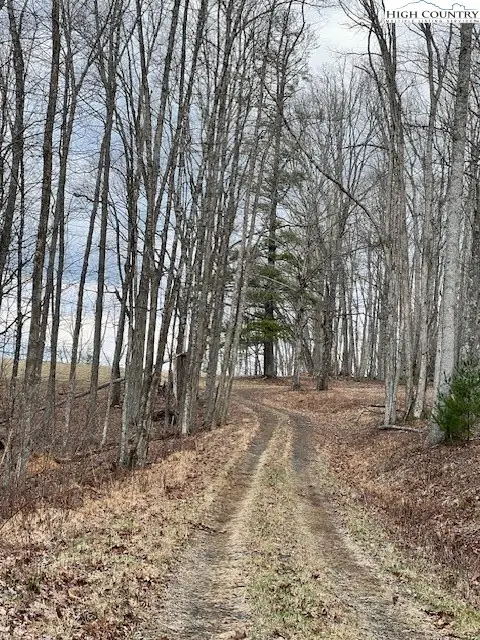 TBD Mcneill Road, Walnut Hill, NC 28617 - Image #2