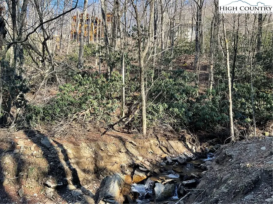 269 Greenbriar Road, Beech Mountain, NC 28604 - Image #3