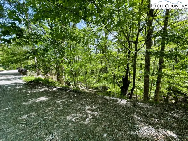 236 Lakeledge Road, Beech Mountain, NC 28604