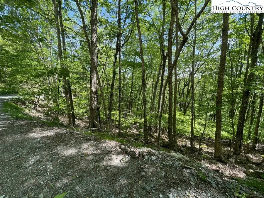 234 Lakeledge Road, Beech Mountain, NC 28604 - Image #3