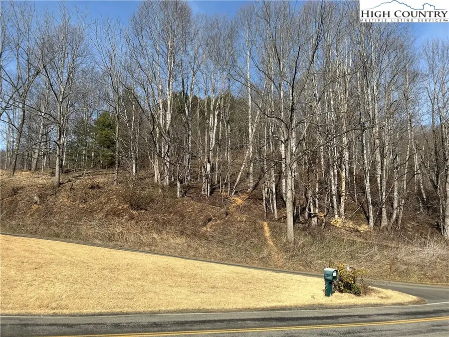 TBD E Little Creek Horse Road, Lansing, NC 28643 - Image #2