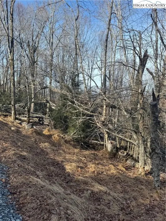 226 Greenbriar Road, Beech Mountain, NC 28604 - Image #2