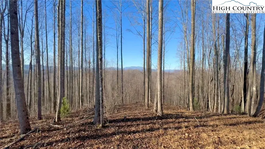 Lot 971 Soaring Top Lane, Lenoir, NC 28645 - Image #3