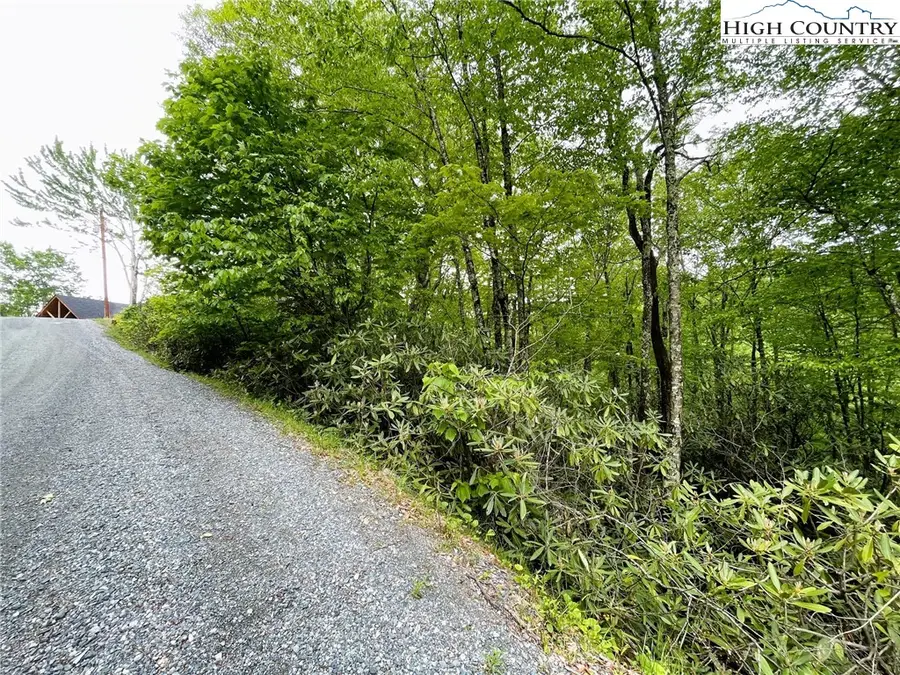 287 Poplar Drive, Beech Mountain, NC 28604 - Image #2