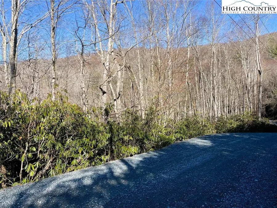 287 Poplar Drive, Beech Mountain, NC 28604 - Image #3