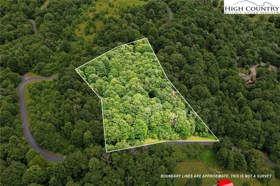 TBD Buffalo Nvno Drive, Zionville, NC 28698 - #2