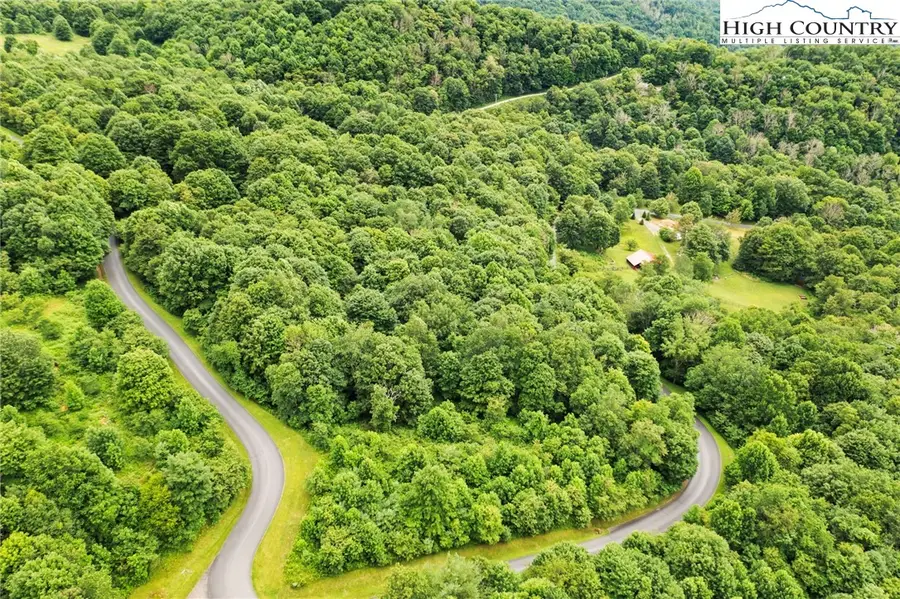 TBD Buffalo Nvno Drive, Zionville, NC 28698 - #3