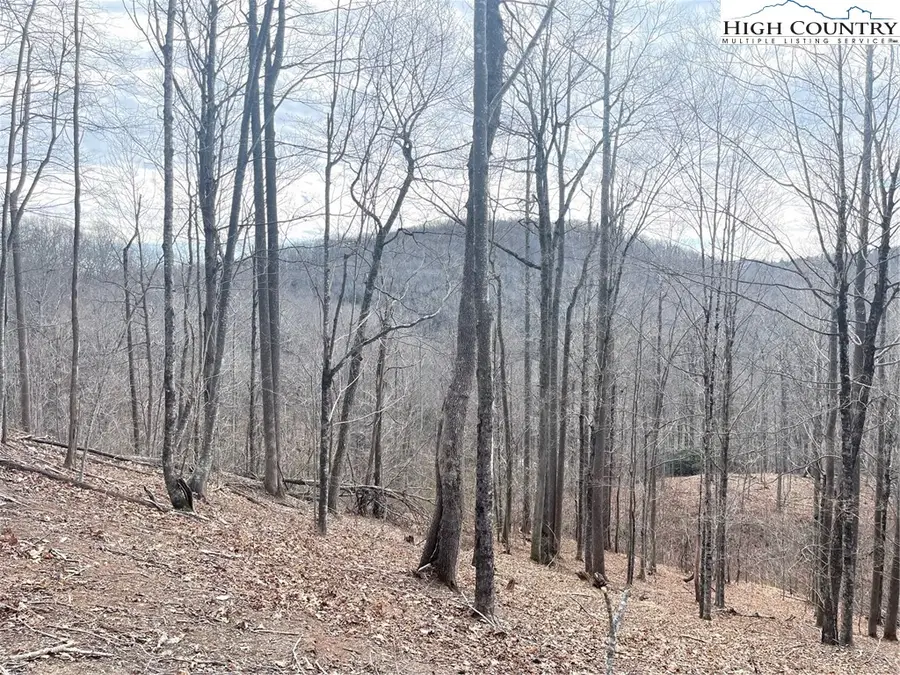 19 Jackson Ridge Road, Boone, NC 28607 - Image #3