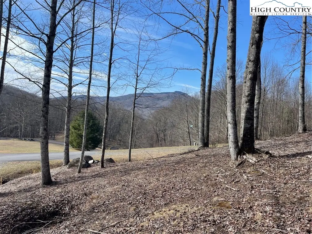 9 Jackson Ridge Road, Boone, NC 28607 - Image #1