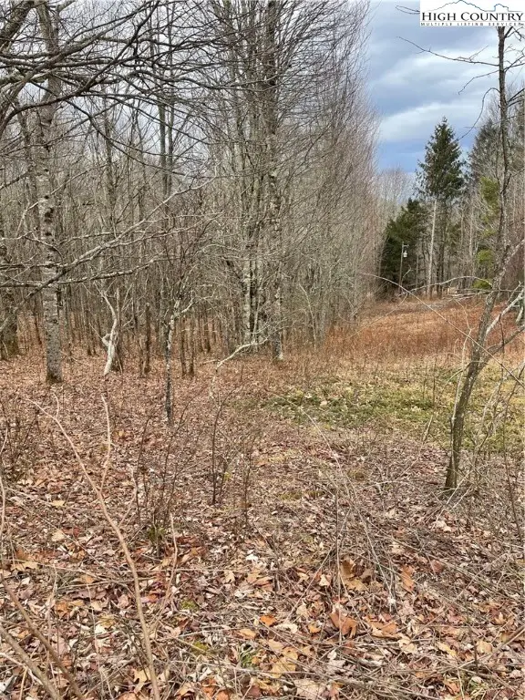 TBD Old Mountain Road, Banner Elk, NC 28604