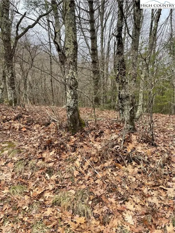 TBD Old Mountain Road, Banner Elk, NC 28604 - Image #2